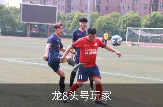 龙8头号玩家概况